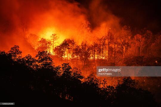 Forest Fire Thailand