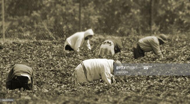 Migrant workers