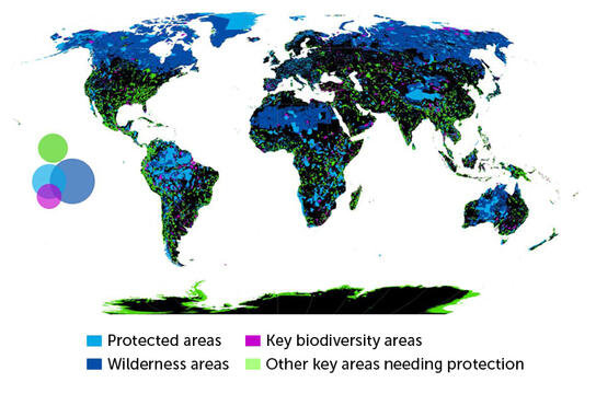 Science News J.R. ALLEN ET AL/BIORXIV.ORG 2019 